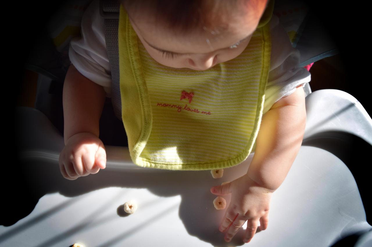 Guest Post: High Chair Buying Guide ⋆ Metro Mom Club Comparing High Chair Brands for Online Buyers