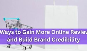 Leveraging Reviews to Build Credibility for Parenting Products