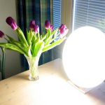 Seasonal Accessories That Drive Consumer Purchases