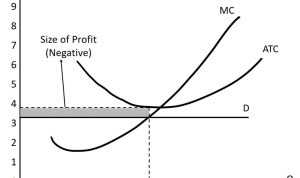 How Economic Trends Shape Insurance Product Development