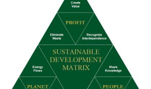 Sustainable Practices in Home Product Manufacturing