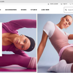 Targeting Niche Markets in the Lifestyle Industry