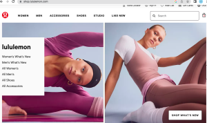 Targeting Niche Markets in the Lifestyle Industry