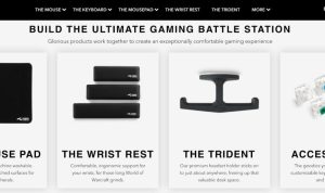 Targeting Niche Markets in the Home Products Category